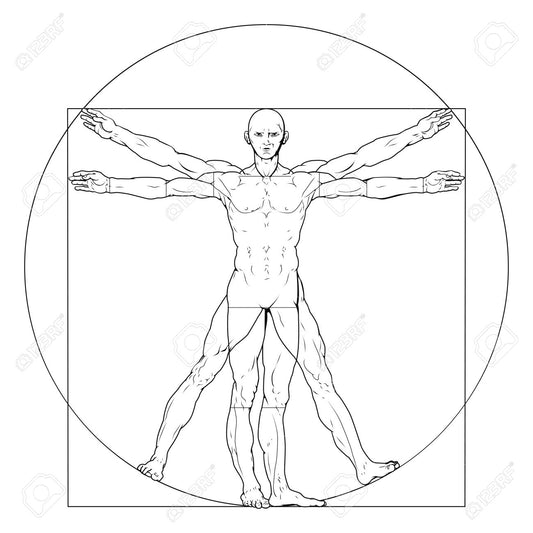 Why Standardization Doesn't Work i.e. Why Sleeves Are Too Short